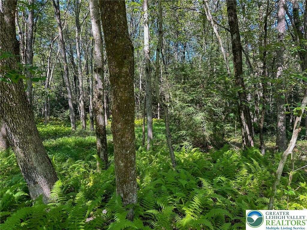 1.2 Acres of Land for Sale in Penn Forest Township, Pennsylvania