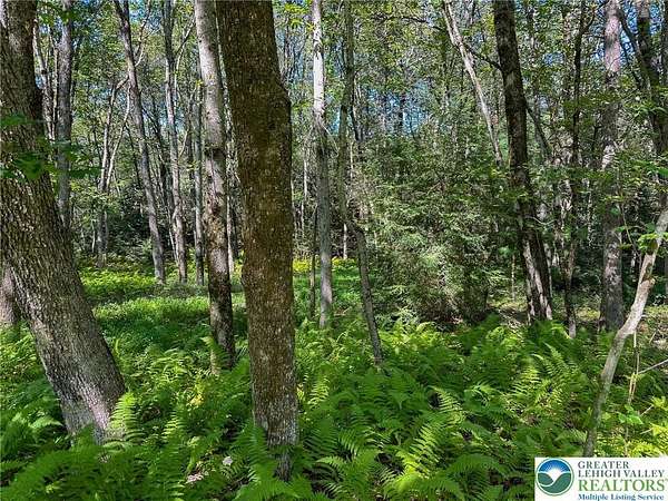 1.2 Acres of Land for Sale in Penn Forest Township, Pennsylvania