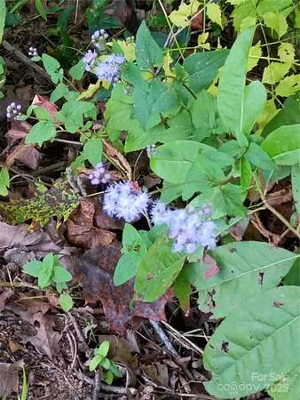 5 Acres of Land for Sale in Bostic, North Carolina