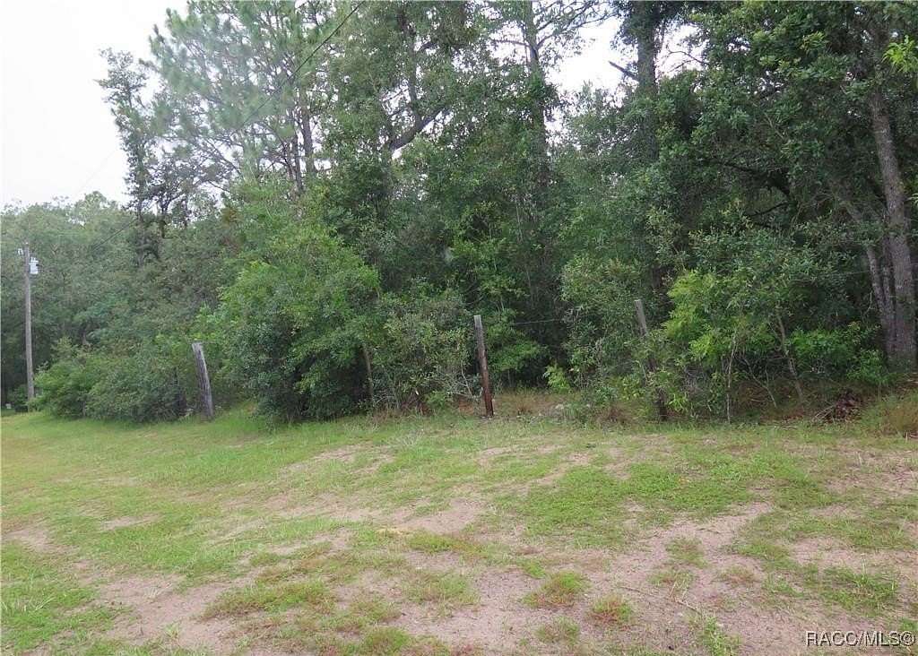 1 Acre of Land for Sale in Hernando, Florida