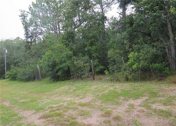 1 Acre of Land for Sale in Hernando, Florida