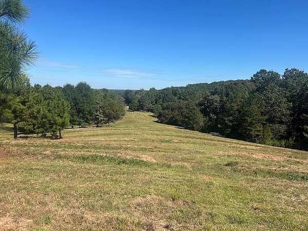 20 Acres of Agricultural Land for Sale in Bowdon, Georgia