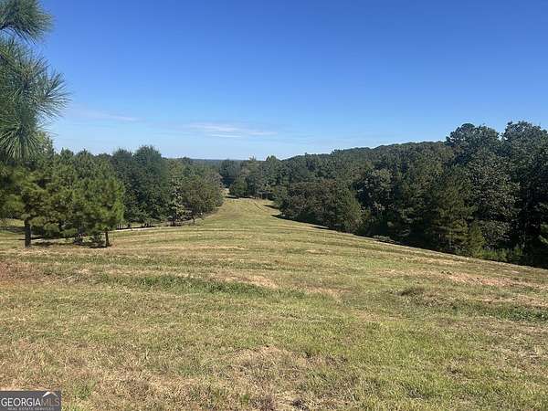 25 Acres of Land for Sale in Bowdon, Georgia