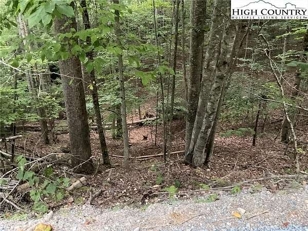 0.37 Acres of Land for Sale in Beech Mountain, North Carolina