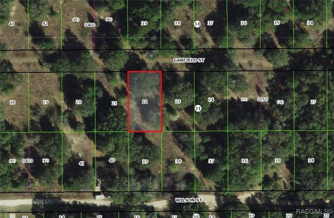 0.23 Acres of Residential Land for Sale in Inverness, Florida