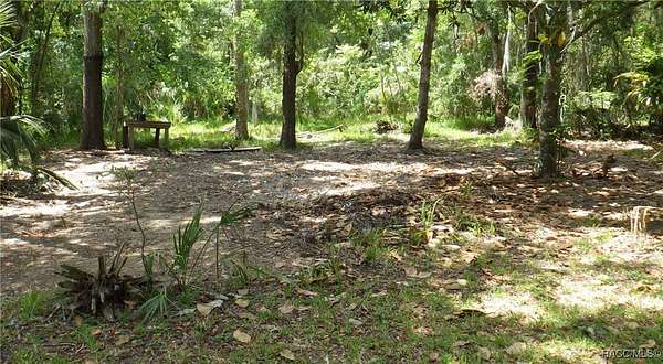 0.88 Acres of Residential Land for Sale in Homosassa, Florida