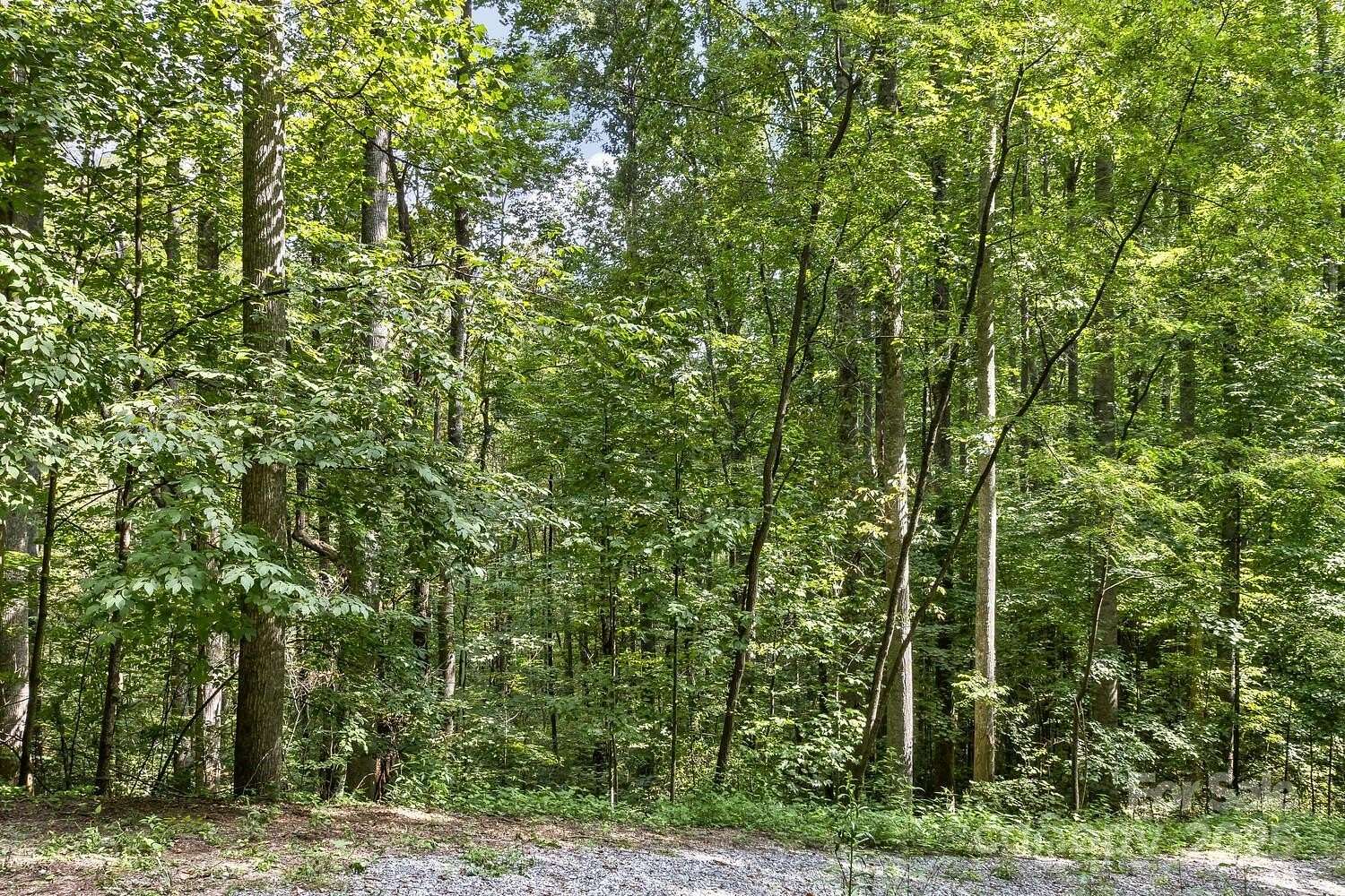 0.44 Acres of Residential Land for Sale in Waynesville, North Carolina