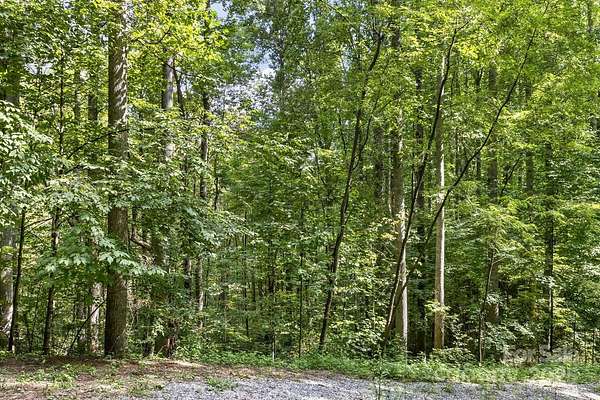 0.44 Acres of Residential Land for Sale in Waynesville, North Carolina