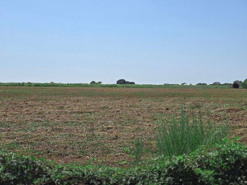2 Acres of Residential Land for Sale in Sealy, Texas