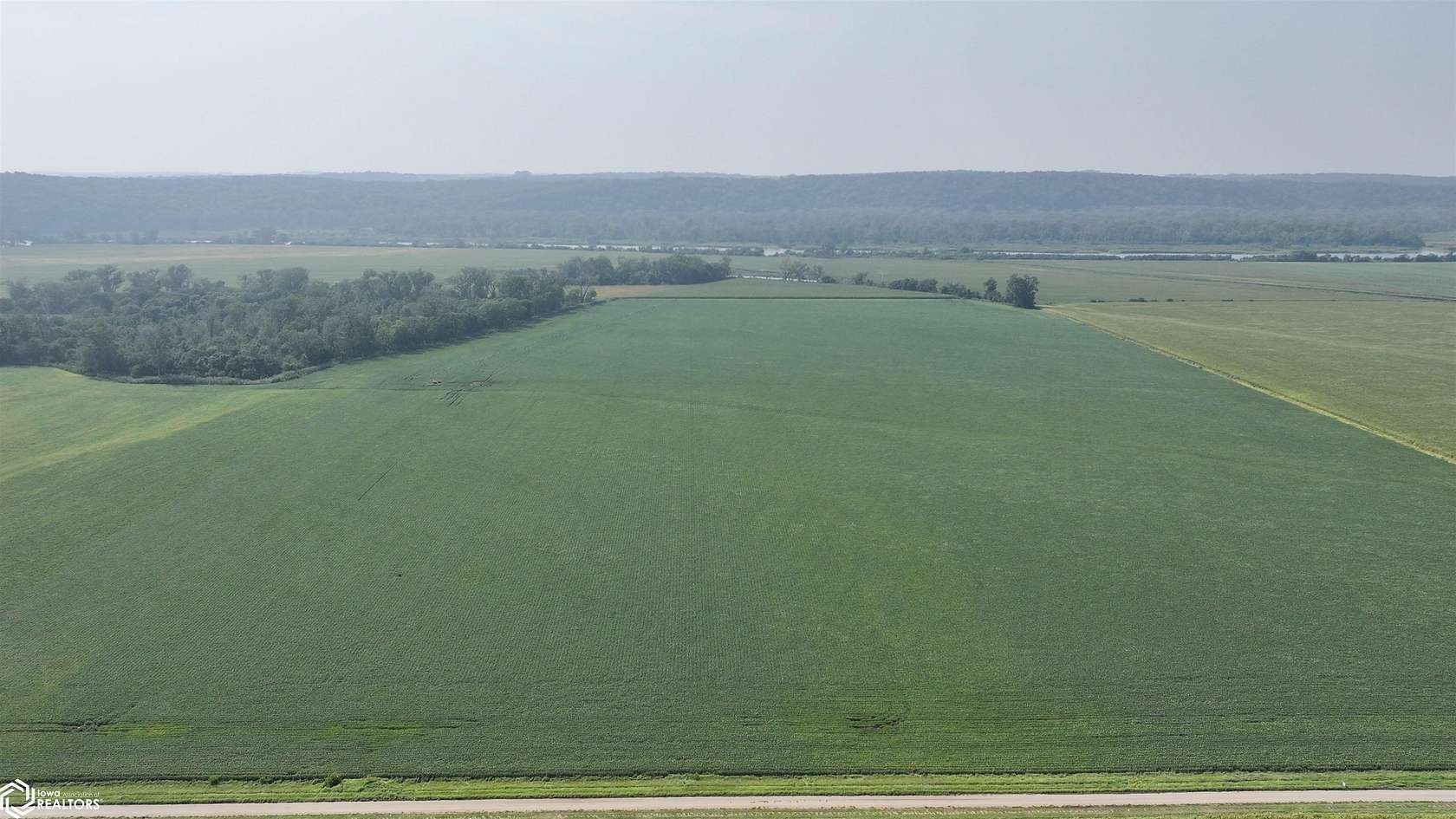 157 Acres of Agricultural Land for Auction in Whiting, Iowa