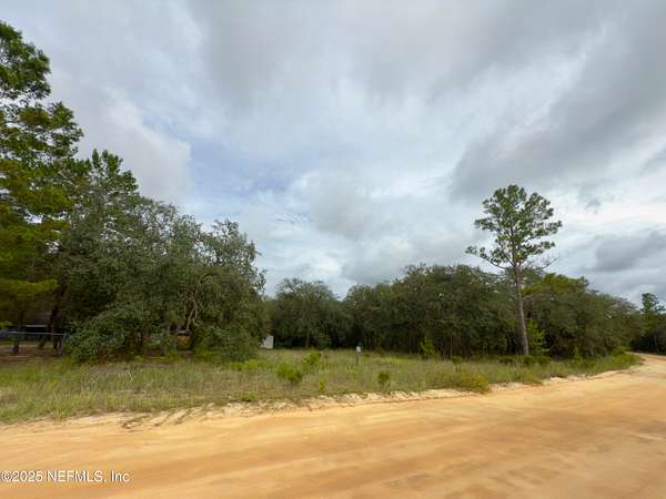 0.39 Acres of Land for Sale in Interlachen, Florida