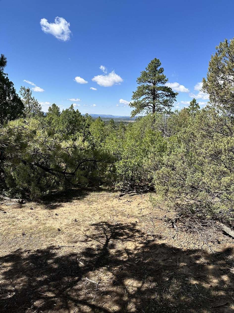 2.78 Acres of Land for Sale in Chama, New Mexico