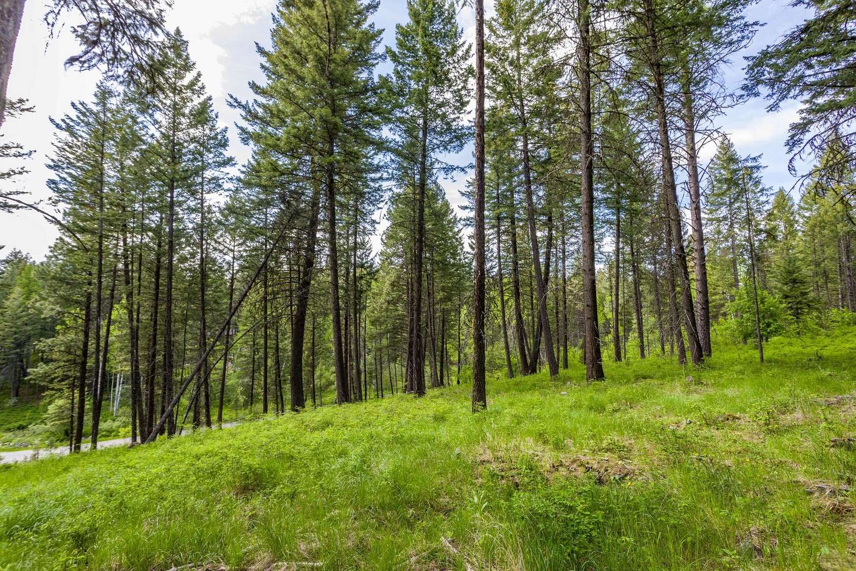2.12 Acres of Residential Land for Sale in Bigfork, Montana