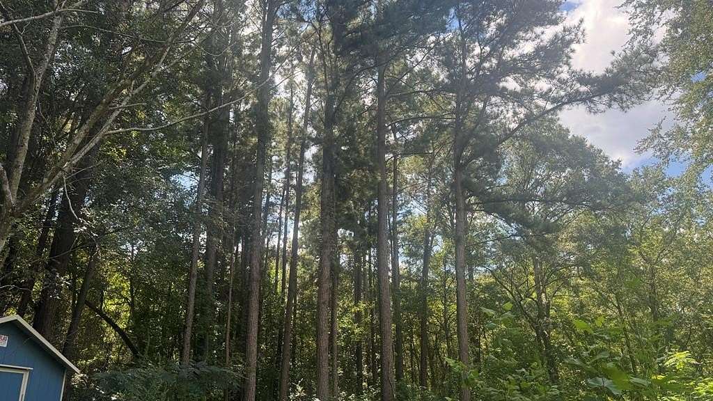 1 Acre of Residential Land for Sale in Palestine, Texas