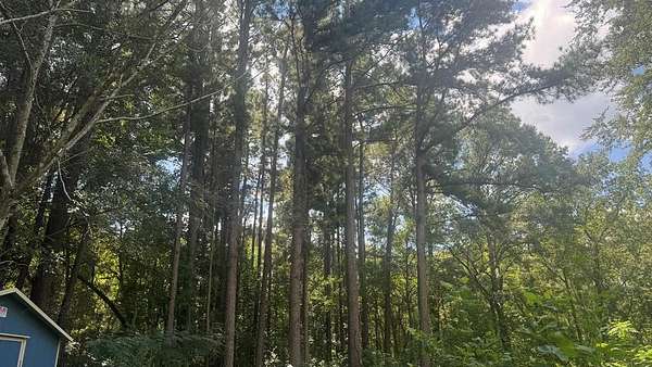 1 Acre of Residential Land for Sale in Palestine, Texas