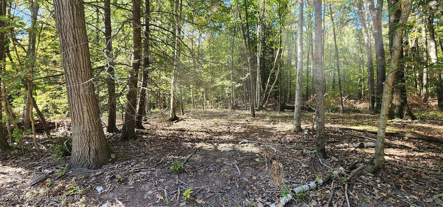 3.39 Acres of Residential Land for Sale in Falls, Pennsylvania