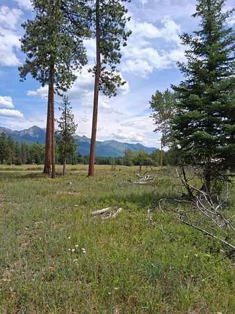 50.3 Acres of Recreational Land for Sale in Condon, Montana