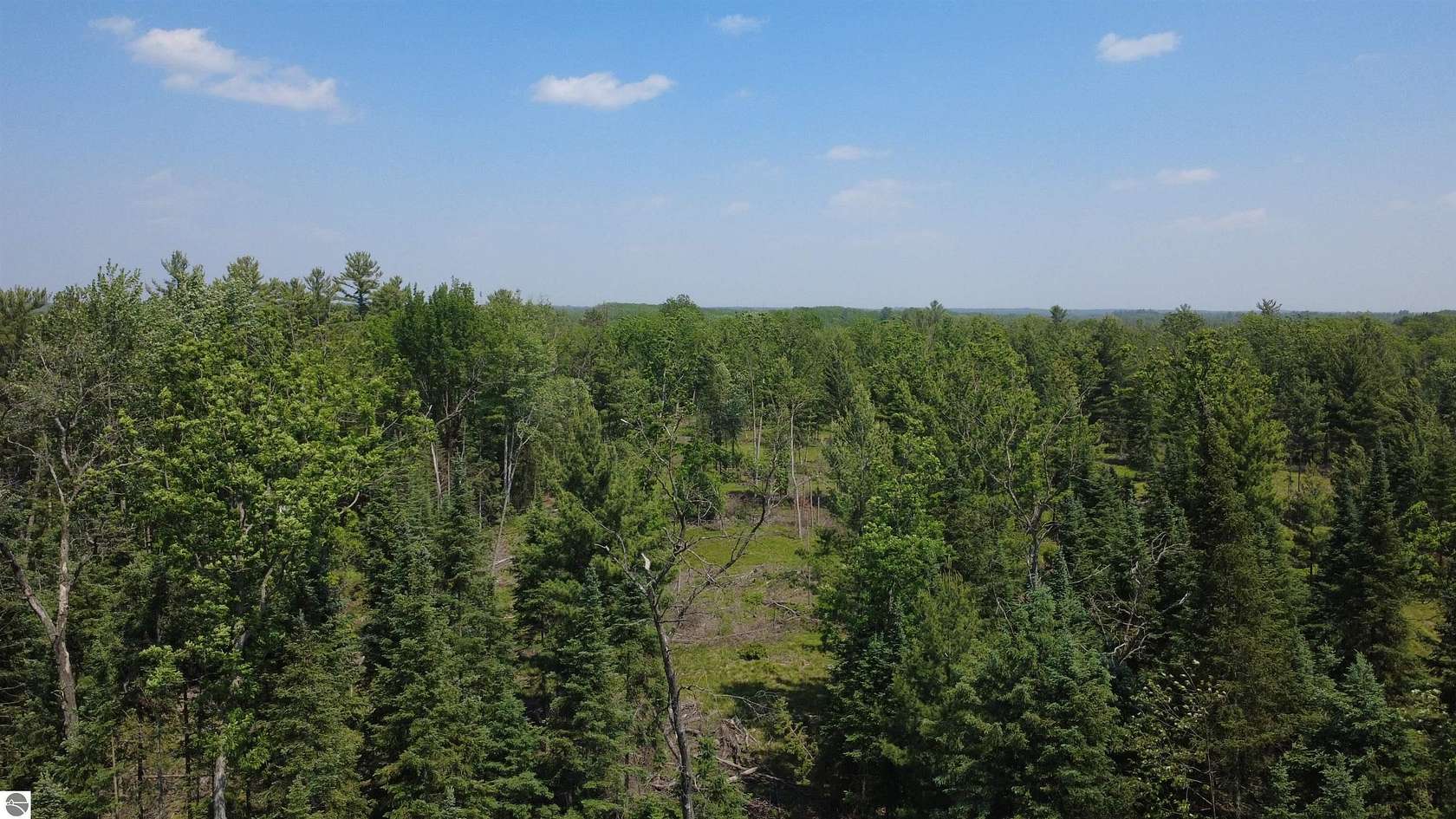 40 Acres of Recreational Land for Sale in West Branch, Michigan