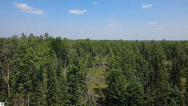 40 Acres of Recreational Land for Sale in West Branch, Michigan