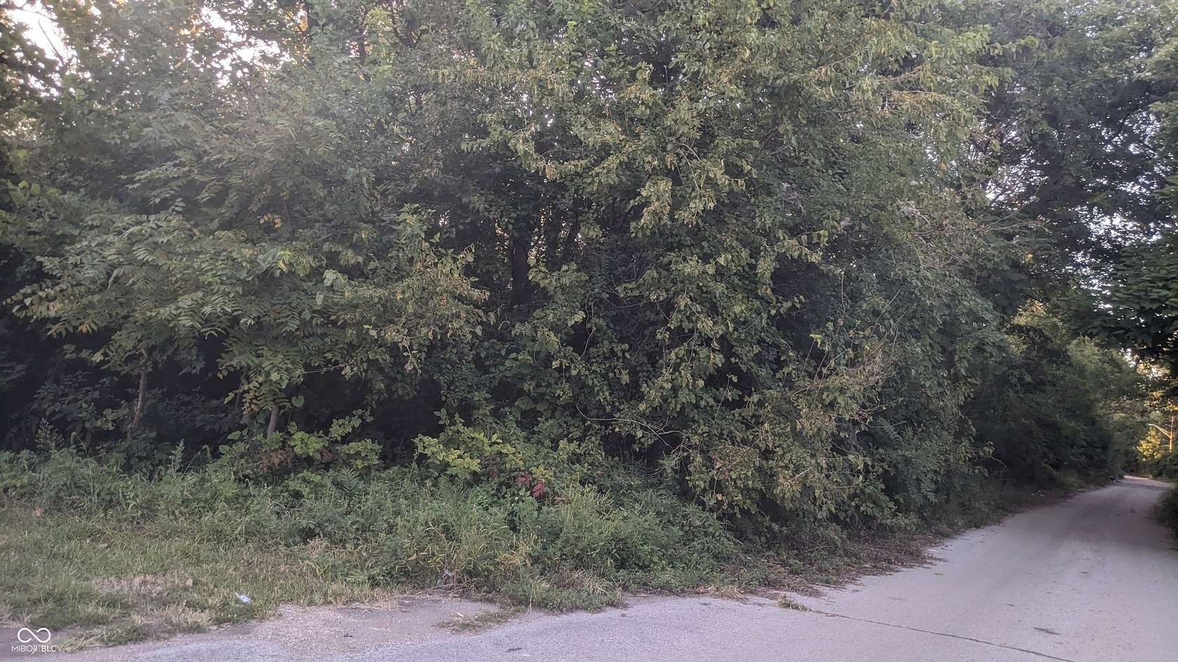 0.24 Acres of Residential Land for Sale in Indianapolis, Indiana