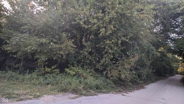 0.24 Acres of Residential Land for Sale in Indianapolis, Indiana
