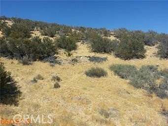 18 Acres of Land for Sale in Hesperia, California