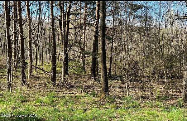 Residential Land for Sale in Hazle Township, Pennsylvania