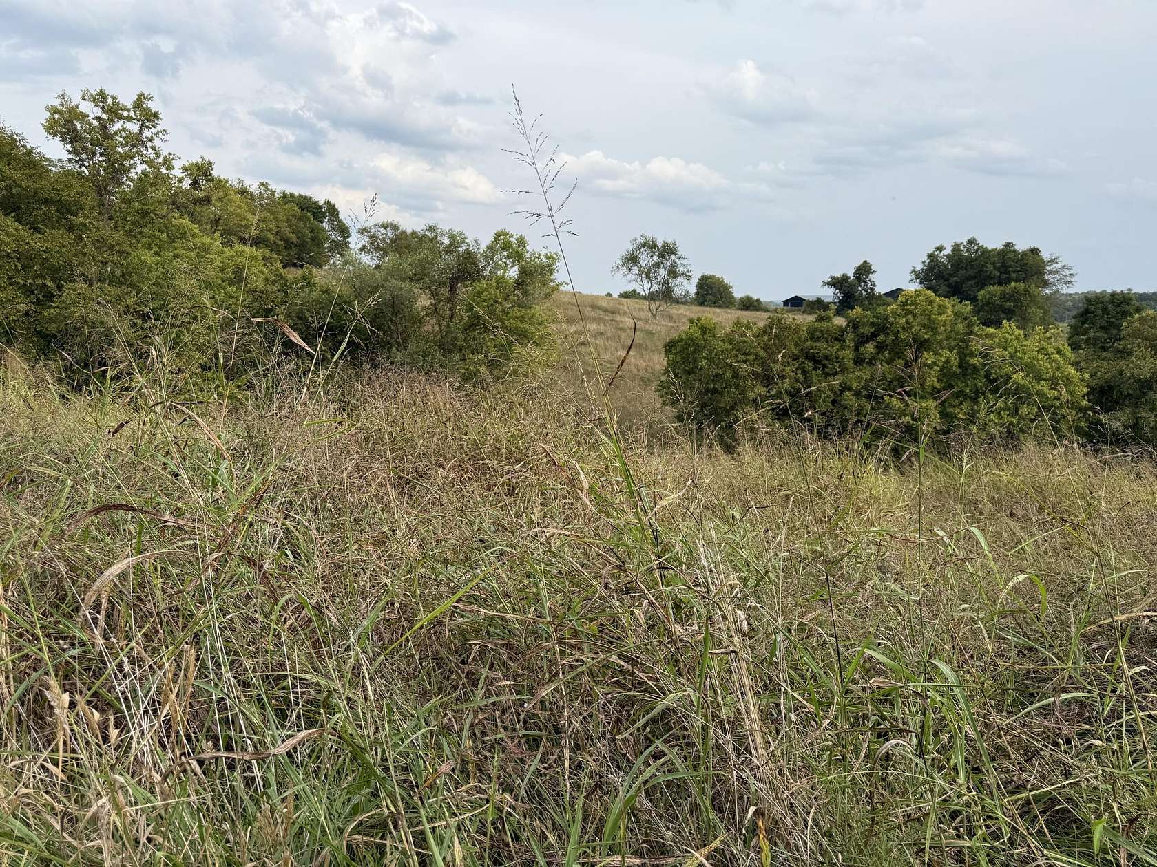 127 Acres of Land for Sale in Owingsville, Kentucky