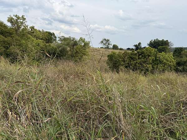 127 Acres of Land for Sale in Owingsville, Kentucky