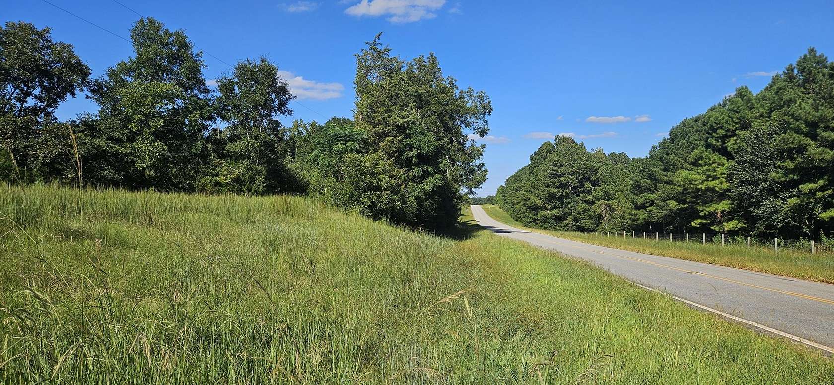 10 Acres of Residential Land for Sale in Washington, Georgia
