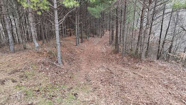 43 Acres of Recreational Land for Sale in Linden, Tennessee