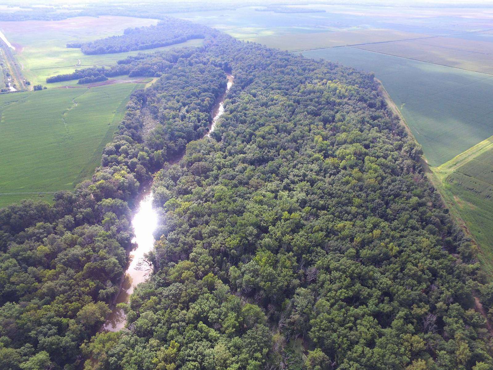 69.3 Acres of Recreational Land for Sale in Mount Erie, Illinois