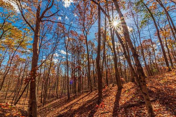 6.14 Acres of Land for Sale in Tiffin Township, Ohio