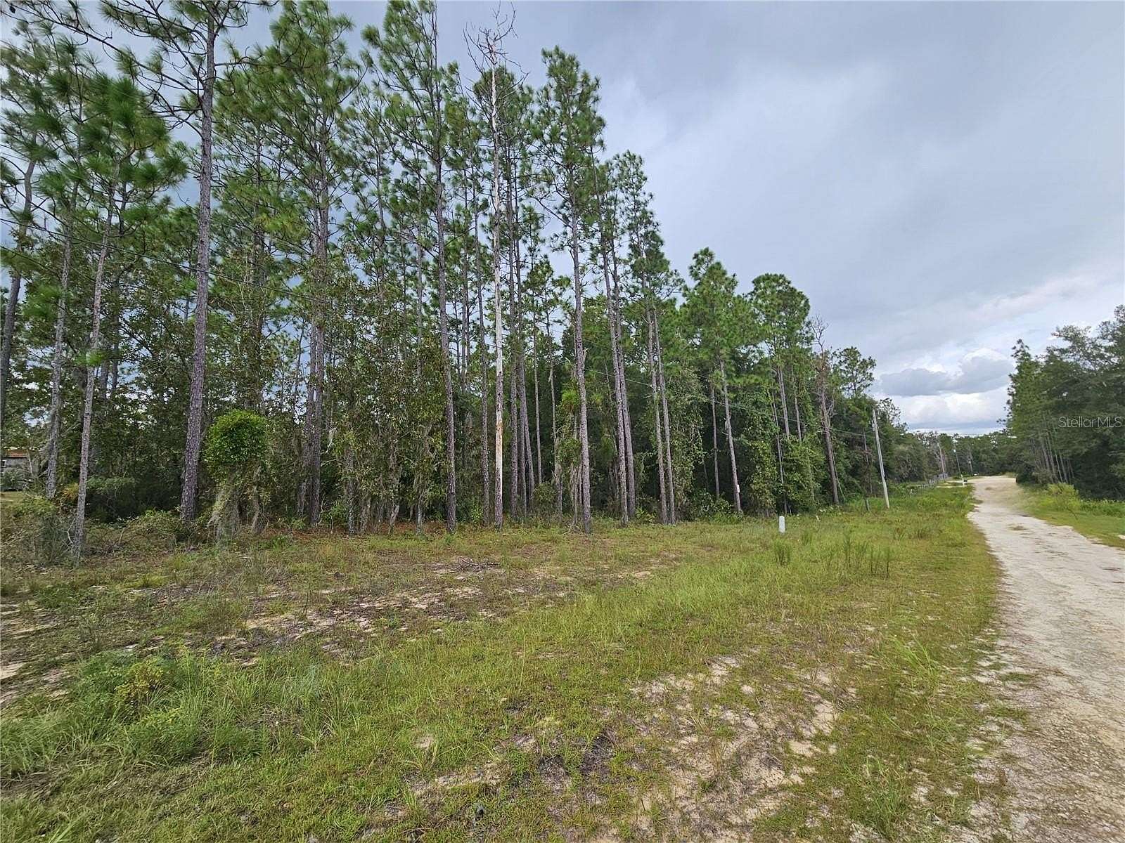 2.12 Acres of Residential Land for Sale in Archer, Florida