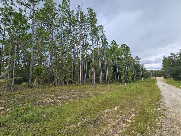2.12 Acres of Residential Land for Sale in Archer, Florida