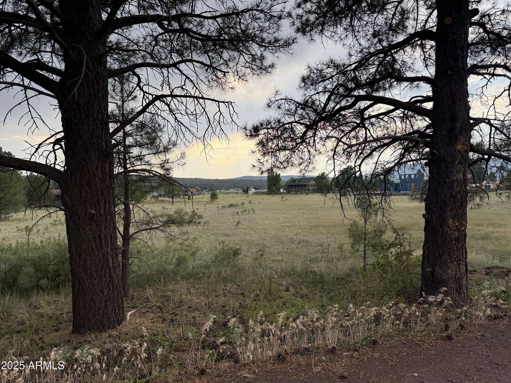 1 Acre of Residential Land for Sale in Mormon Lake, Arizona