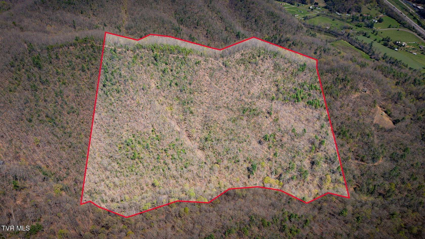 35.5 Acres of Land for Sale in Erwin, Tennessee