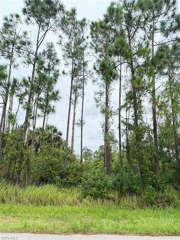0.25 Acres of Residential Land for Sale in Lehigh Acres, Florida