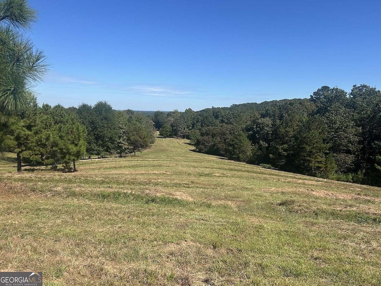 7.47 Acres of Agricultural Land for Sale in Bowdon, Georgia