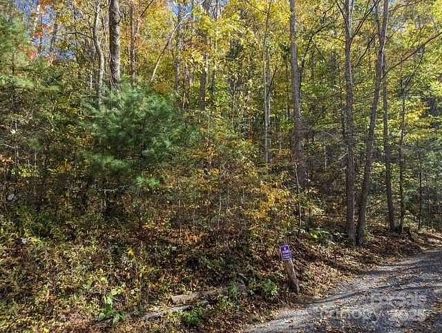 10.7 Acres of Land for Sale in Waynesville, North Carolina