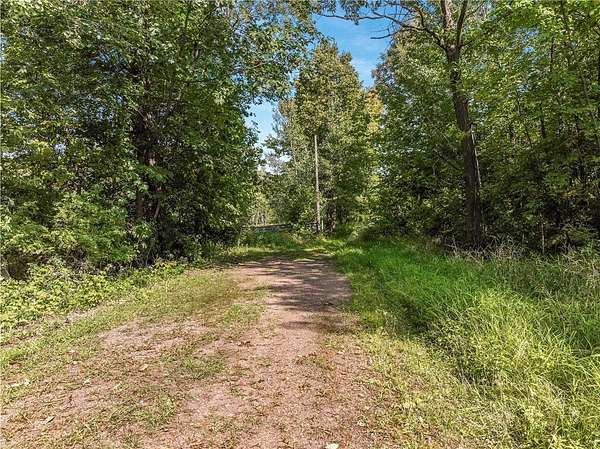 40 Acres of Land for Sale in Boyd, Wisconsin