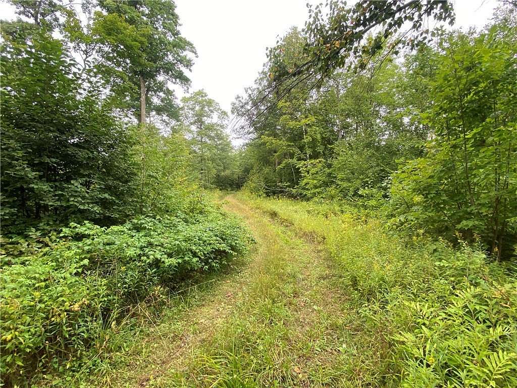 39.6 Acres of Land for Sale in Exeland, Wisconsin