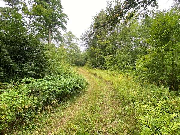 39.6 Acres of Land for Sale in Exeland, Wisconsin