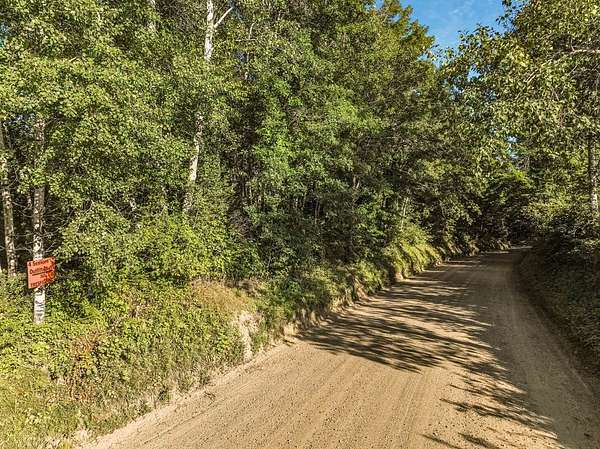 78.6 Acres of Recreational Land for Sale in Weyerhaeuser, Wisconsin