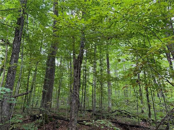 80 Acres of Recreational Land for Sale in Lake Nebagamon, Wisconsin