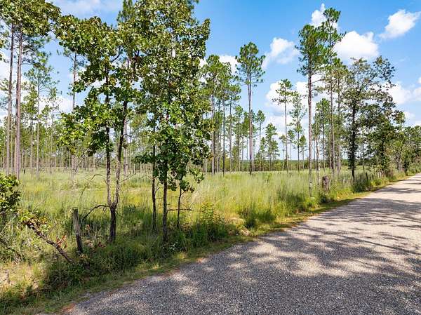 Residential Land for Sale in Lumberton, Mississippi