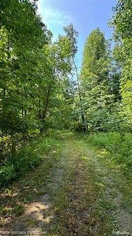 8.67 Acres of Residential Land for Sale in Attica, Michigan