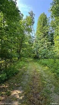 8.67 Acres of Residential Land for Sale in Attica, Michigan