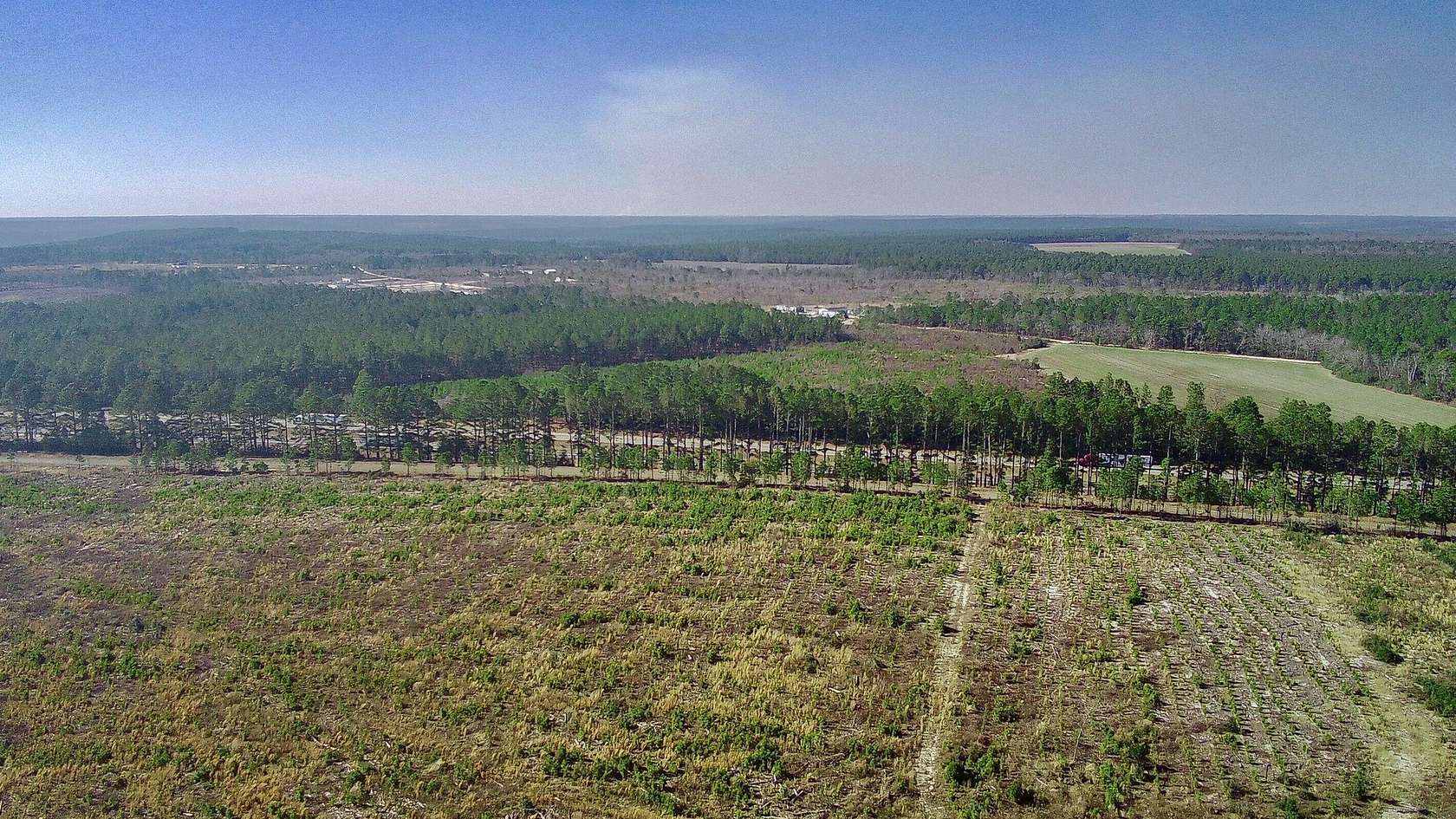 30 Acres of Land for Sale in Monetta, South Carolina