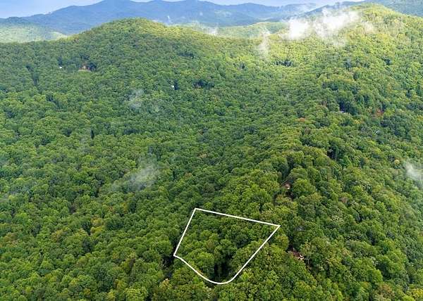 1 Acre of Residential Land for Sale in Millshoal Township, North Carolina